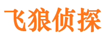 临桂寻人公司